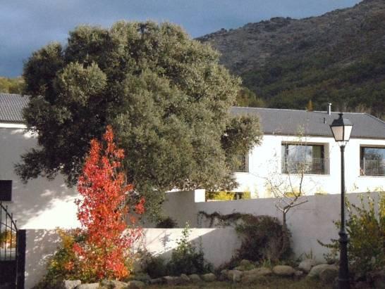 נוולואנגה El Hotelito מראה חיצוני תמונה